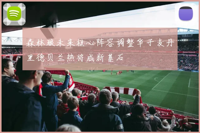 森林狼未来核心阵容调整华子麦丹里德贝兰热将成新基石