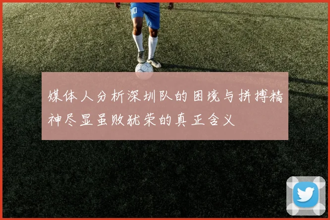媒体人分析深圳队的困境与拼搏精神尽显虽败犹荣的真正含义
