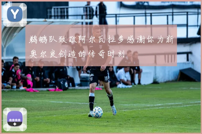 鹈鹕队致敬阿尔瓦拉多感谢你为新奥尔良创造的传奇时刻