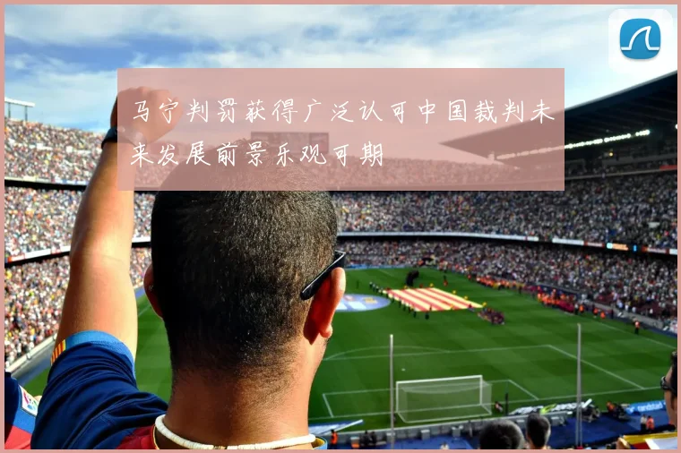 马宁判罚获得广泛认可中国裁判未来发展前景乐观可期